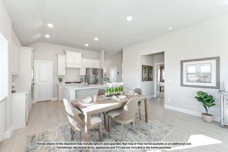 New construction Single-Family house 126 Kingfisher Lane, Aledo, TX 76008 Cypress II- photo 8 8