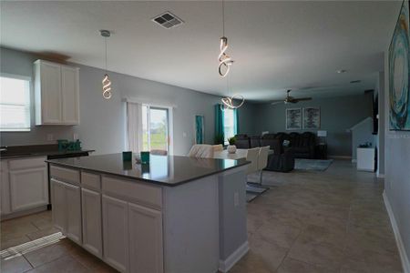 New construction Single-Family house 293 Pineywoods Street, Saint Cloud, FL 34772 - photo 17 17