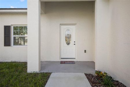 New construction Single-Family house 55 Peterlee Court, Kissimmee, FL 34758 - photo