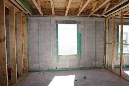 New construction Single-Family house 2857 Misty Marble Drive, Zephyrhills, FL 33540 Castellana- photo 16 16