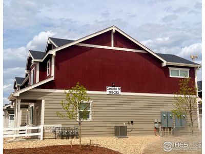 New construction Townhouse house 281 Cardinal St, Johnstown, CO 80534 - photo 2 2