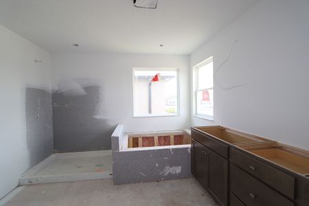 New construction Single-Family house 2463 Sunny Pebble Loop, Zephyrhills, FL 33540 Castellana- photo 74 74