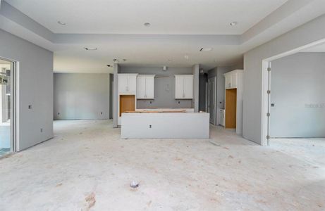 New construction Single-Family house 42 N Spend A Buck Drive, Inverness, FL 34453 - photo 7 7