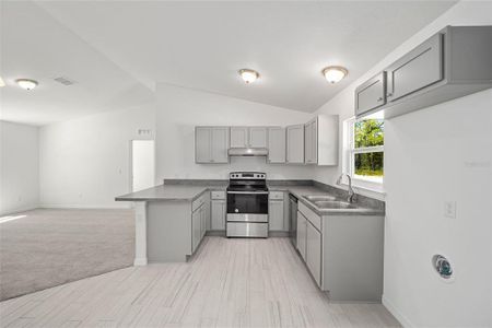 New construction Single-Family house 24217 Nw Geranium Avenue, Dunnellon, FL 34431 - photo 9 9