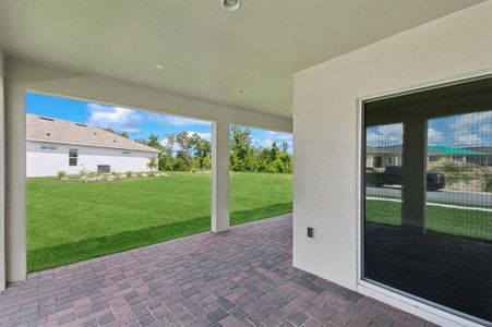 New construction Single-Family house 2264 Seasgrass Point, Unit 446, Kissimmee, FL 34747 Dominica- photo 23 23