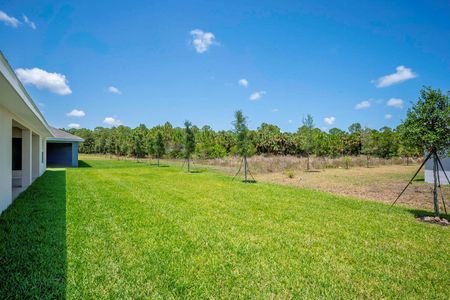 New construction Single-Family house 8758 Waterstone Boulevard, Fort Pierce, FL 34951 2508- photo 18 18