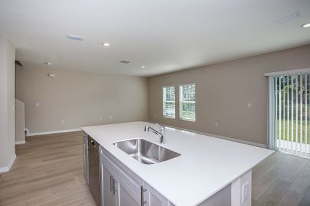New construction Single-Family house 7737 Twinleaf Terrace, Parrish, FL 34219 Turquesa- photo 4 4