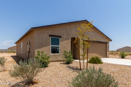 New construction Single-Family house 3715 N Bandelier Drive, Eloy, AZ 85131 - photo 3 3