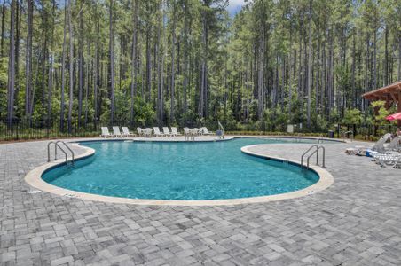 New construction Single-Family house 569 Dunswell Drive, Summerville, SC 29486 - photo 57 57
