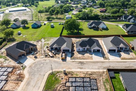 New construction Single-Family house 521 Limestone Circle, Mabank, TX 75147 - photo 2 2