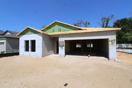 New construction Single-Family house 12032 Hilltop Farms Drive, Dade City, FL 33525 Marque- photo 20 20