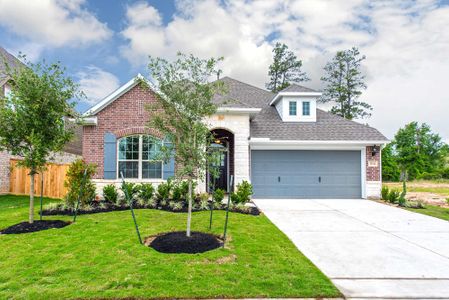 Grand Central Park 55' Homesites by David Weekley Homes in Conroe - photo 17 17