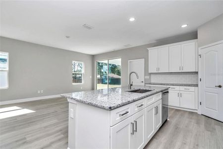 New construction Single-Family house 13058 Sw 39Th Avenue, Ocala, FL 34473 - photo 13 13