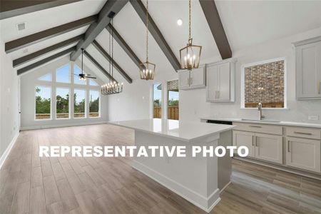 New construction Single-Family house 104 Emerald Grove Dr, Georgetown, TX 78633 The Haven X- photo 2 2