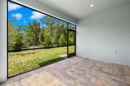 New construction Single-Family house 6064 Timberdale Avenue, Wesley Chapel, FL 33545 Largo- photo 14 14