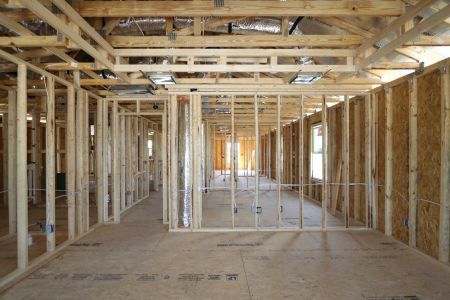 New construction Single-Family house 3077 Misty Marble Drive, Zephyrhills, FL 33540 Castellana- photo 31 31