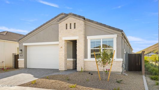 New construction Single-Family house 1731 E Northwood Drive, Phoenix, AZ 85024 Dove- photo 1 1