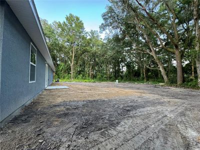 New construction Single-Family house 3280 Se 142Nd Place, Summerfield, FL 34491 - photo