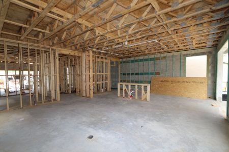New construction Single-Family house 2852 Misty Marble Drive, Zephyrhills, FL 33540 Castellana- photo 34 34