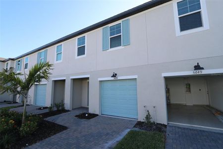 New construction Townhouse house 5645 Tripoli Drive, Palmetto, FL 34221 Alexander - Townhomes- photo 0 0