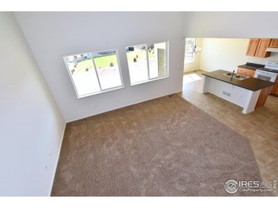 New construction Single-Family house 2333 Graceful St, Windsor, CO 80550 The New Jersey- photo 12 12