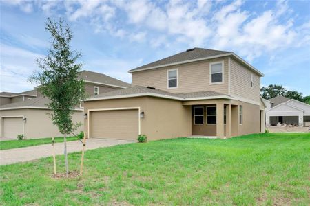 New construction Single-Family house 2060 Shaggy Fisher, Apopka, FL 32712 Aurora- photo 15 15