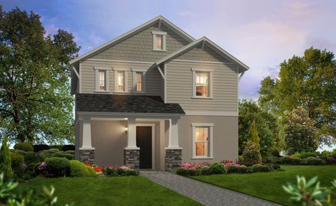 New construction Single-Family house Azalea, 3616 Berry Briar Drive, Wesley Chapel, FL 33543 - photo