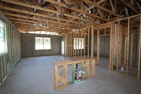 New construction Single-Family house 2885 Misty Marble Drive, Zephyrhills, FL 33540 Herrera- photo 21 21
