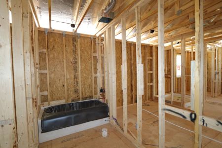 New construction Single-Family house 31810 Sapna Chime Drive, Wesley Chapel, FL 33545 Mira Lago- photo 36 36