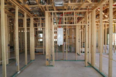 New construction Single-Family house 31843 Sapna Chime Drive, Wesley Chapel, FL 33545 Picasso- photo 61 61