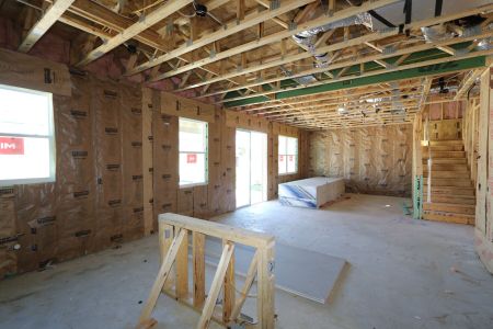 New construction Single-Family house 9358 Crescent Ray Drive, Wesley Chapel, FL 33545 Renau- photo 23 23