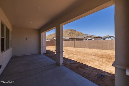 New construction Single-Family house 34320 N Sandpiper Trail, Queen Creek, AZ 85144 - photo 46 46