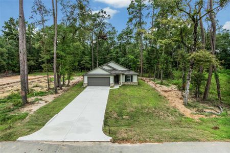 New construction Single-Family house 2810 Parthenon Place, New Caney, TX 77357 - photo 19 19