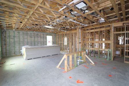 New construction Single-Family house 2463 Sunny Pebble Loop, Zephyrhills, FL 33540 Castellana- photo 49 49