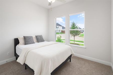 Carpeted bedroom with multiple windows and ceiling fan