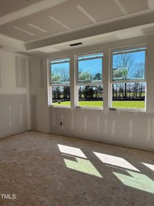 New construction Single-Family house 63 Golden Leaf Farms Road, Angier, NC 27501 Birch II A- photo 35 35