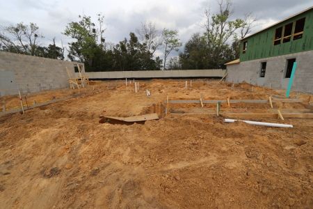 New construction Single-Family house 12078 Hilltop Farms Drive, Dade City, FL 33525 Mira Lago- photo