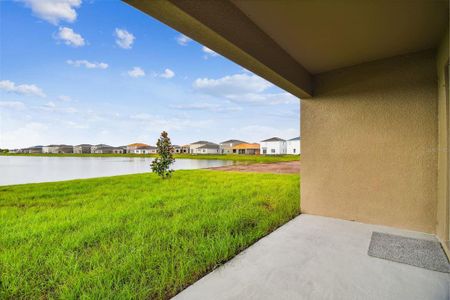 New construction Single-Family house 5552 Logan Cave Avenue, Wimauma, FL 33598 - photo 22 22