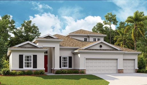 New construction Single-Family house 6233 Hidden Branch Drive, Apollo Beach, FL 33572 - photo 0