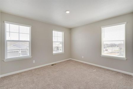 New construction Single-Family house 14611 Beebalm Avenue, Parker, CO 80134 PENDLETON- photo 27 27