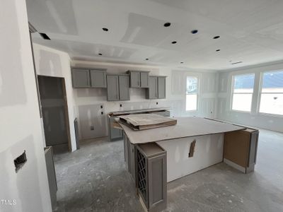 New construction Single-Family house 116 Baird Cove Lane, Unit 199, Angier, NC 27501 The Concerto- photo 6 6