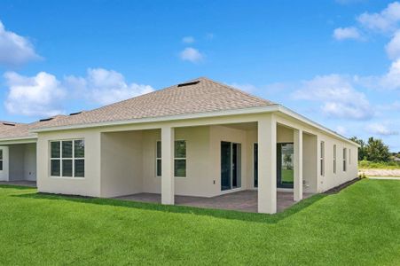 New construction Single-Family house 2264 Seasgrass Point, Unit 446, Kissimmee, FL 34747 Dominica- photo 19 19