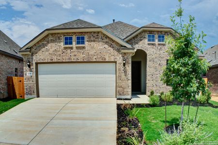 New construction Single-Family house 1659 Dirndl, New Braunfels, TX 78132 Premier Series - Palm- photo 12 12