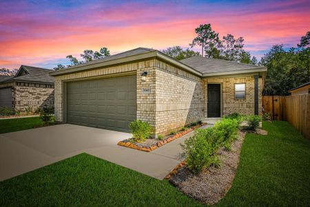 Caney Mills by Rausch Coleman Homes in Conroe - photo 4 4