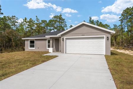 New construction Single-Family house 24053 Nw Tamarind Lane, Dunnellon, FL 34431 - photo 41 41