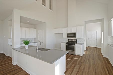 New construction Single-Family house 105 Orchard Park Drive, Liberty Hill, TX 78642 - photo 15 15