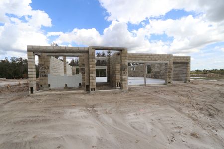 New construction Single-Family house 7746 Hemlock Seed Drive, Wesley Chapel, FL 33545 Corina  III Bonus- photo 5 5