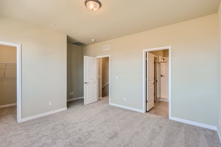 New construction Townhouse house 755 Pokeweed Ln, Fort Collins, CO 80524 Grove- photo 13 13