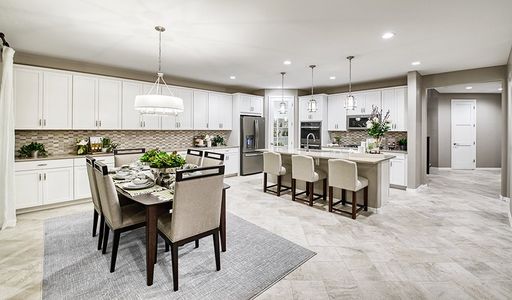 The Preserve at Desert Oasis II by Richmond American Homes in Surprise - photo 24 24