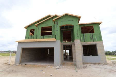 New construction Single-Family house 31810 Sapna Chime Drive, Wesley Chapel, FL 33545 Mira Lago- photo 10 10